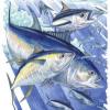 Water separation in sardine product, What Cause? - last post by Dharmadi Sadeli Putra