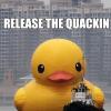 Quarantine of Raw Materials prior to QC release to production - last post by Plastic Ducky